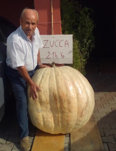 Zucca