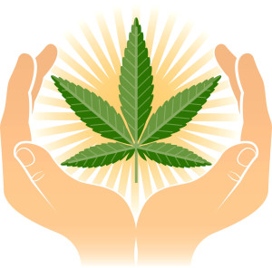 cannabis-5
