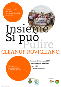 Cleanup-Rovigliano---Locandina