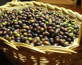 olive1