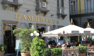 Bar-Gambrinus