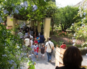 Il giardino dell'Istituto Scolastico Suor Orsola Benincasa - Il verde come Buona Scuola (2)