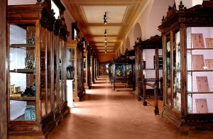 Museo Anatomico