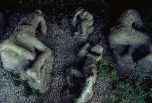 Plaster Casts of Vesuvius Victims