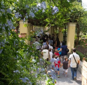 Il giardino dell'Istituto Scolastico Suor Orsola Benincasa - Il verde come educazione alla salute f (1)