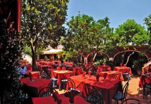 phoca_thumb_l_ristorante-giardino_degli_aranci-09