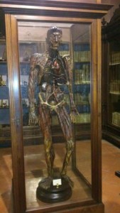 museo-anatomico-di-napoli