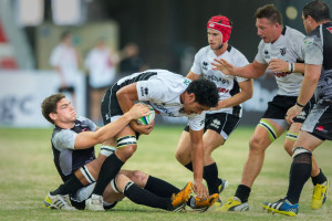 2014-WC1-s-Petrarca(white)_AH3U1967_01