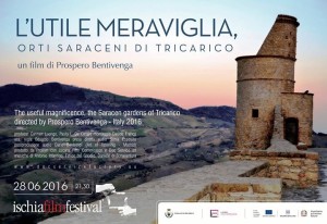 22_Lutile_meraviglia_lanteprima_saracena_allIFF2016