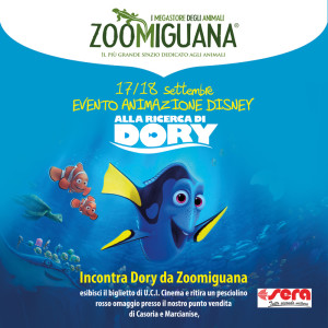 zoomiguana DISNEY