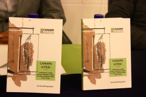 canapa in tesi