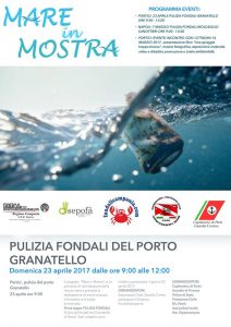 mare%20in%20mostra%202