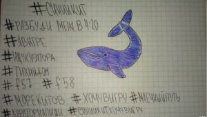 foto-blue-whale