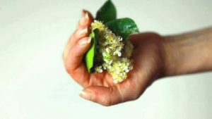 matilde-de-feo-il-mio-corpo-a-maggio-2014