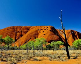 australia-outback-uluru