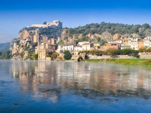 256525970589a5c902-catalognaebreimage