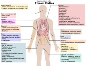 cystic_fibrosis_manifestations-it