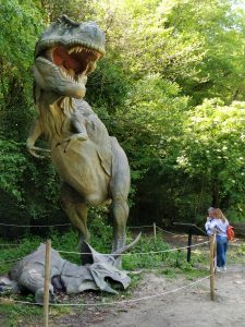 ricostruzione-del-t-rex-alla-mostra-dinosauriincarneeossa