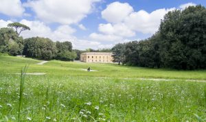 prateria-e-fabbrica-di-porcellana-foto-di-alessio-cuccaro