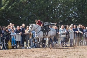 un-momento-dello-spettacolo-equestre2-foto-di-andrea-mandruzzato