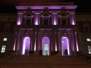 2251335_cardarelliviola