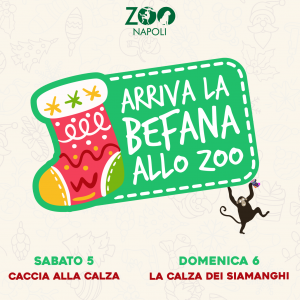 befana-allo-zoo