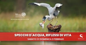 specchi-d-acqua_specchi-di-vita_-2-e-3-febbraio-2019-a-citta-della-scienza_ita