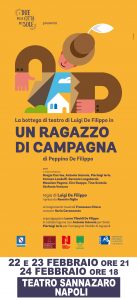 locandina-un-ragazzo-di-campagna