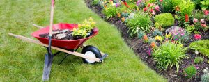 manutenzione-del-giardino