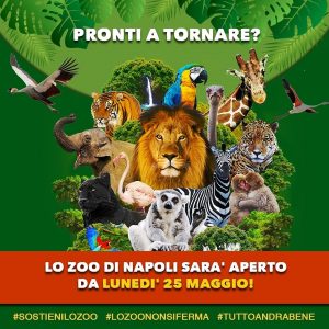 zoo-di-napoli