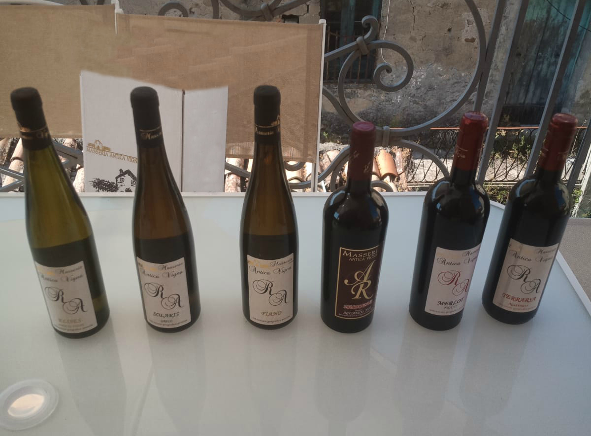 antica-vigna