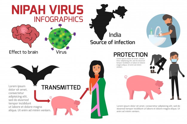 Questo è l'Inizio della Fine - Pagina 3 Nipah-virus-infographics_27170-78