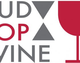 logo_sud_top_wine