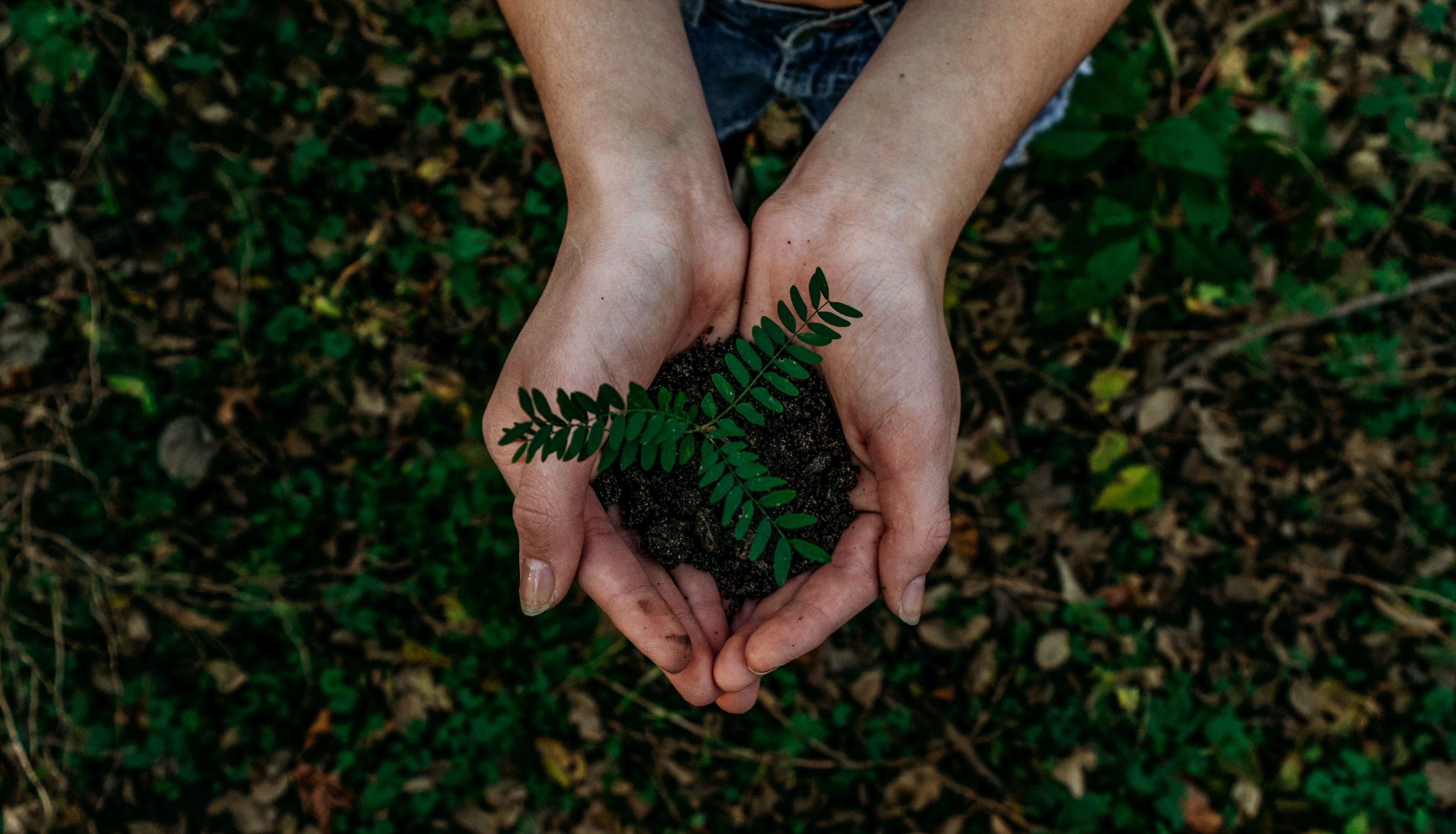 photo di Noah Busher
