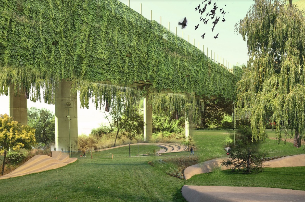 ponte-ecologico-1
