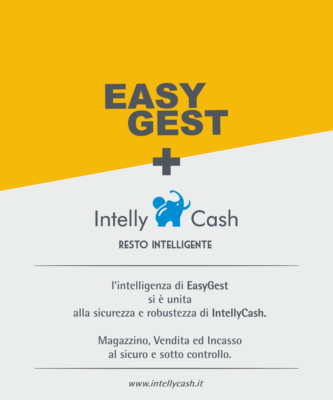 newsletter-easygestintellycash-1